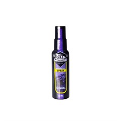 ODORIZANTE AUTO SPRAY LAVANDA 60ML CTL12